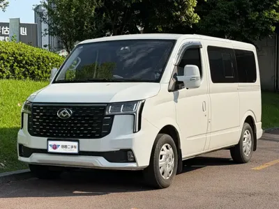 Maxus V80