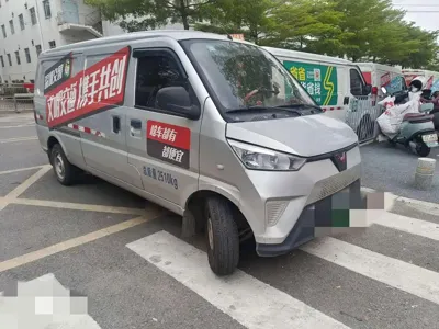 Wuling Wuling EV50