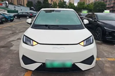 BYD Seagull