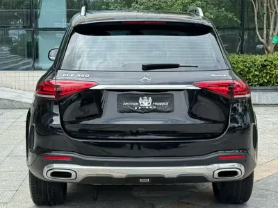 Mercedes-Benz 奔驰GLE(进口)