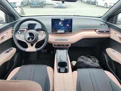 BYD Seagull