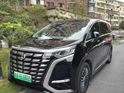 Denza Denza D9