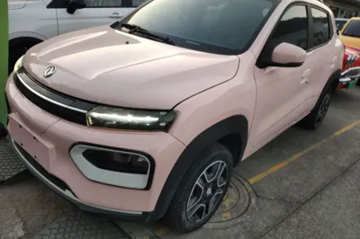 Dongfeng NAMMI BOX