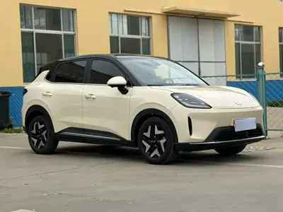 Wuling 缤果S
