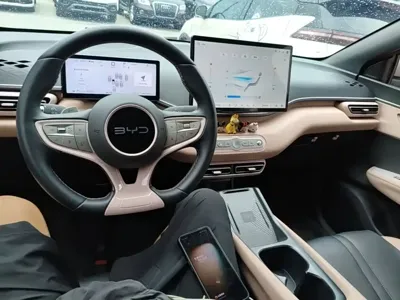 BYD Seagull