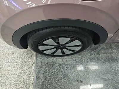 Wuling Bingo