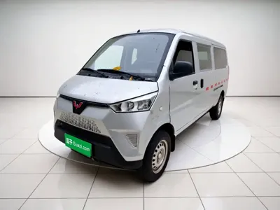 Wuling Wuling EV50