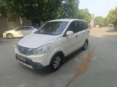 BAW Weiwang M20
