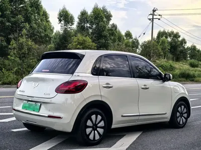 Wuling Bingo