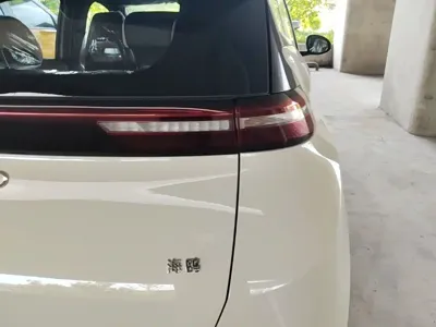 BYD Seagull