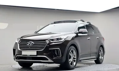 Hyundai Maxcruz