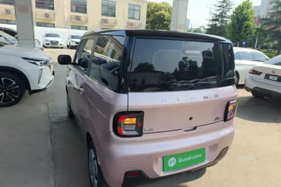 Geely Galaxy Panda