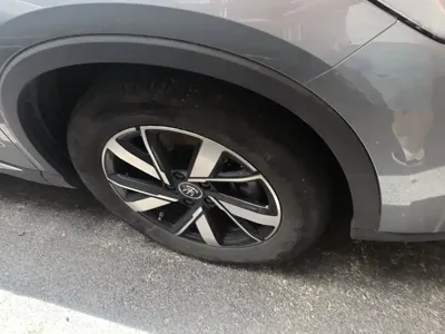 BYD Pro New Energy