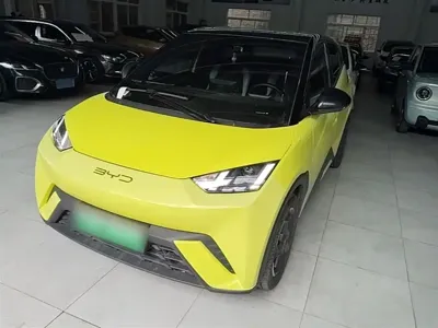 BYD Seagull