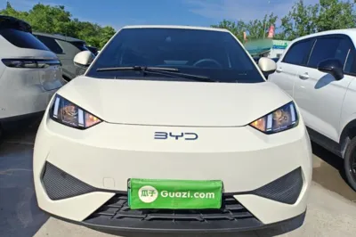 BYD Seagull