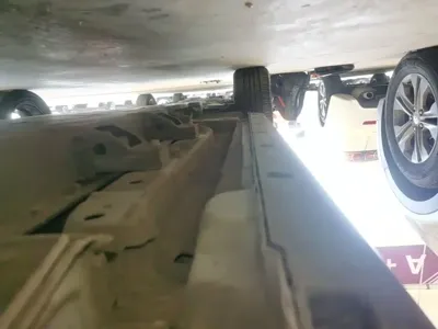 NETA Neta V