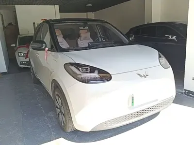 Wuling Bingo