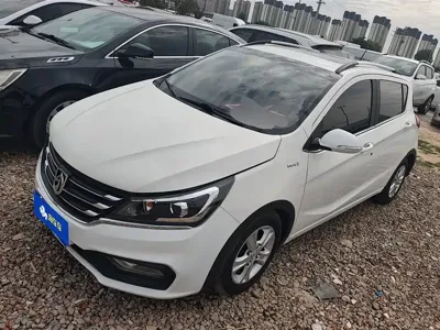 Baojun 310