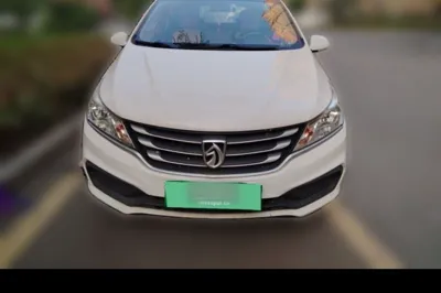 Baojun 310