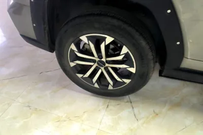 Haval H Dog