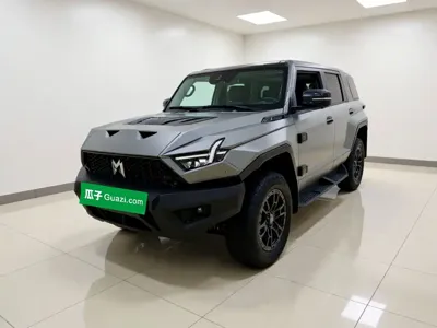 Mengshi Mengshi 917