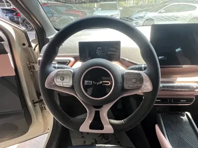 BYD Seagull