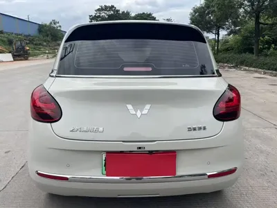 Wuling Bingo