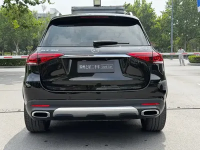 Mercedes-Benz 奔驰GLE(进口)
