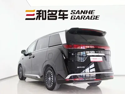 Denza Denza D9