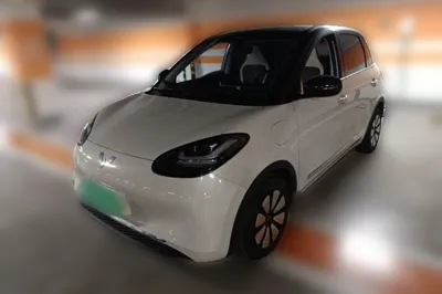 Wuling Bingo