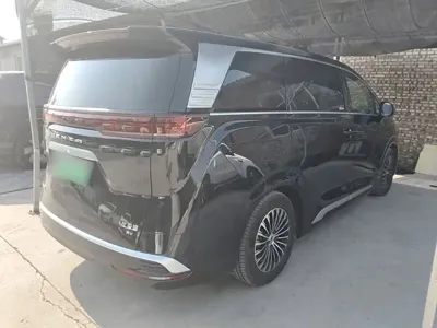 Denza Denza D9