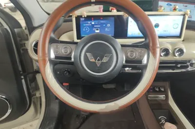 Wuling Bingo