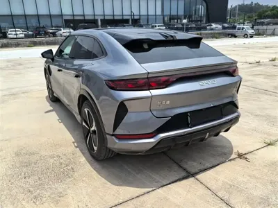 BYD L EV