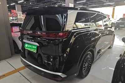 Denza D9
