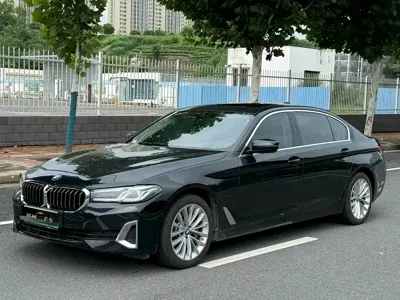 BMW 5 Series New Energy