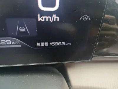 BYD Pro New Energy