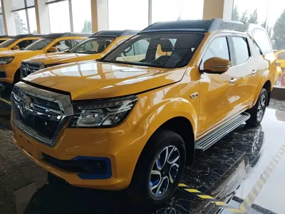Dongfeng Rich 6 New Energy