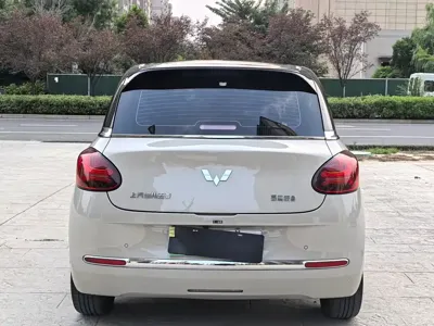 Wuling Bingo