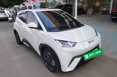 BYD Seagull