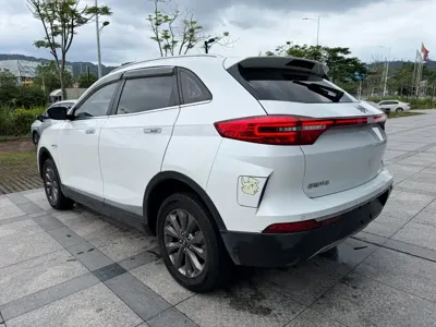 WM Motor EX5
