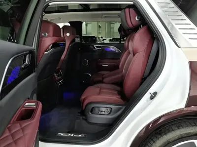 Hongqi Hongqi E-HS9