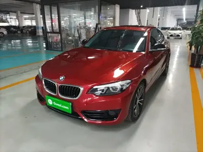 BMW 2 Series (Import)