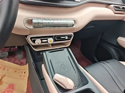 BYD Seagull