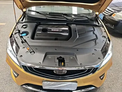 Geely Binrui