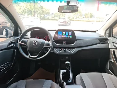 Baojun 310