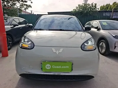 Wuling Bingo