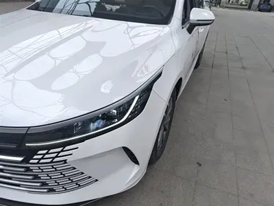BYD Destroyer 05