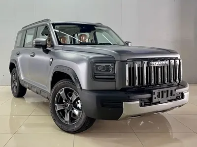 Haval 哈弗猛龙燃油