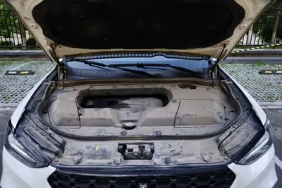 WEY VV6