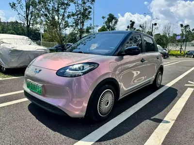 Wuling Bingo